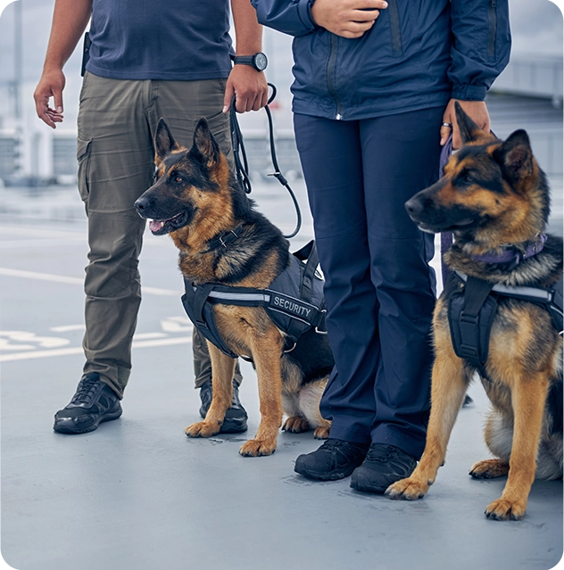 Kompetente Schutzhund-Teams