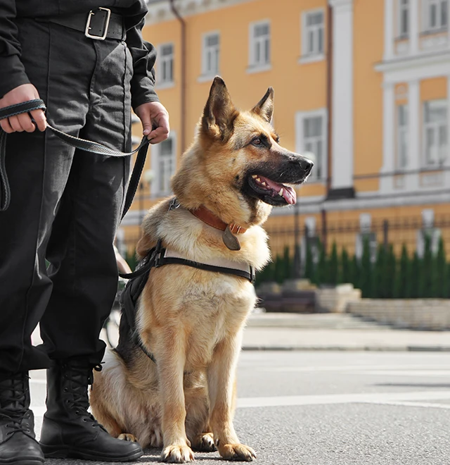 police-dog